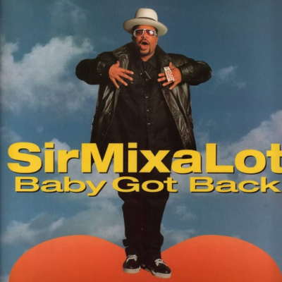 I like big butts and I cannot lie